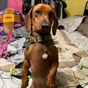 Jewelry & Gem Show 💎 1-16-26 4PM